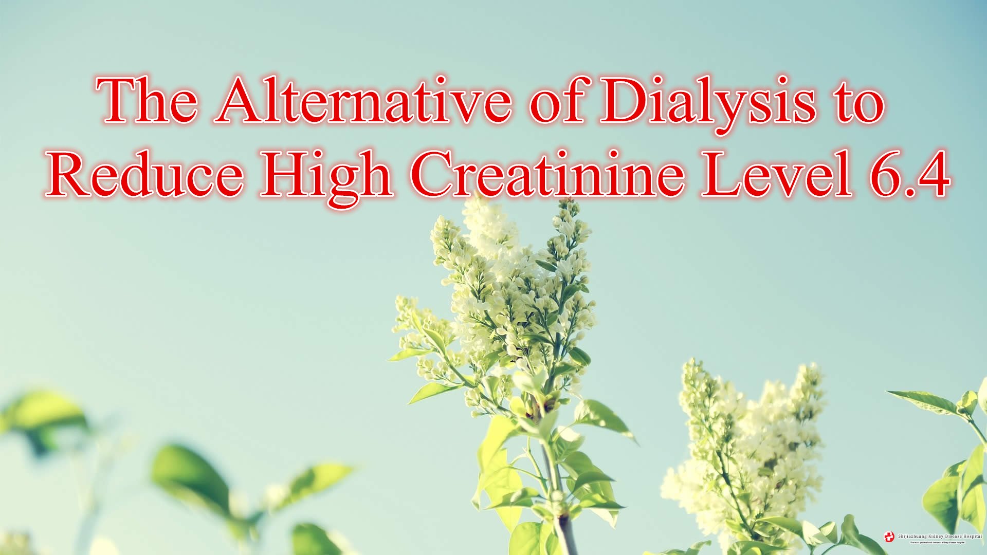 The Alternative of Dialysis to Reduce High Creatinine Level 6.4